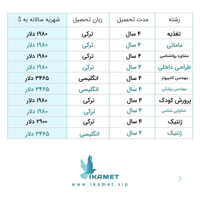 رشته های دانشگاه بیرونی ترکیه